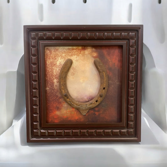 Good Luck Horseshoe with Abstract Painting Backdrop, Framed in Waterproof Engineered