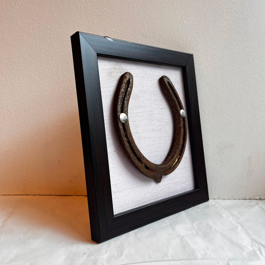 Good Luck Horse Shoe with Pink silk background