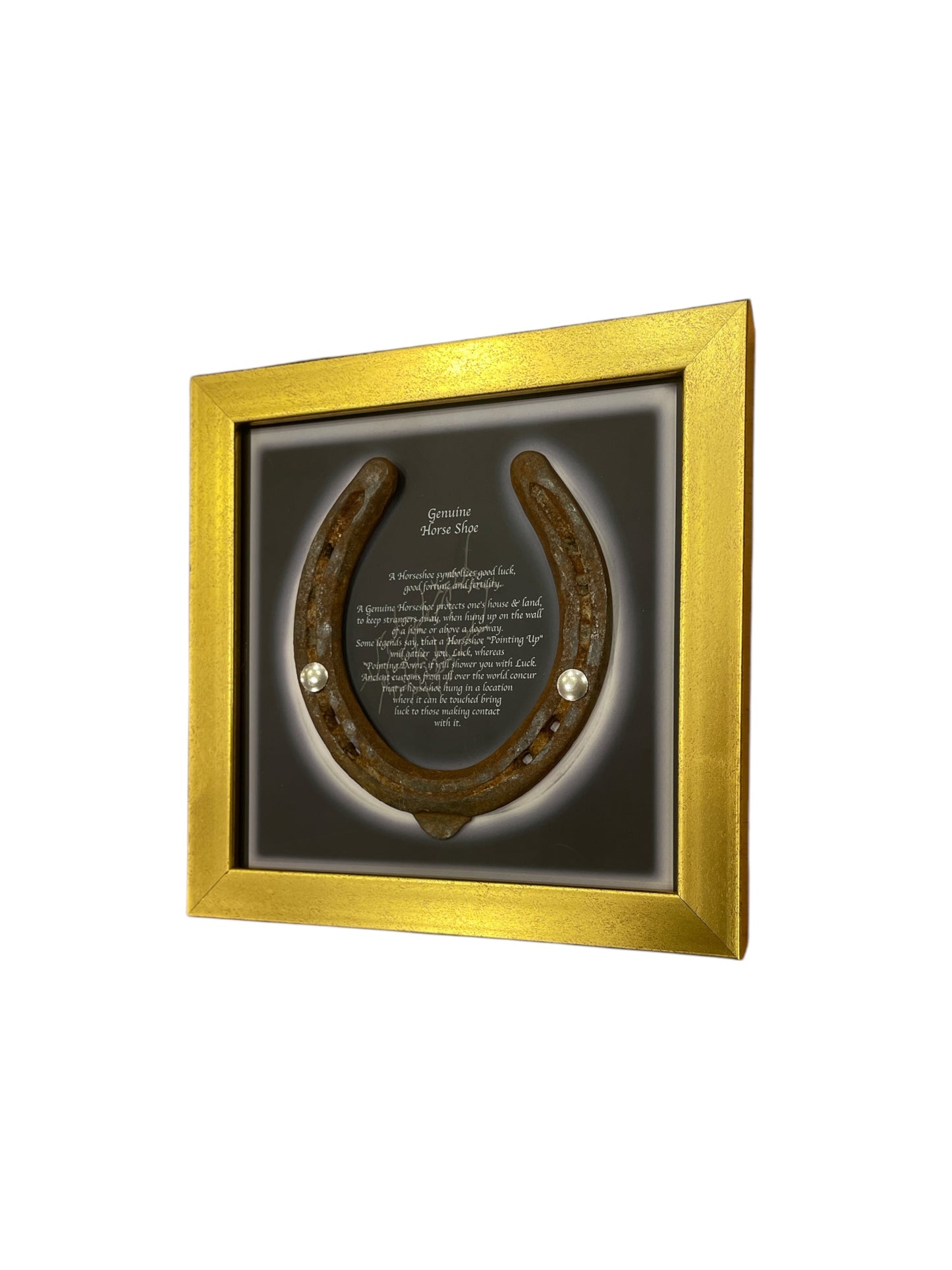 Good Luck Antique Horse shoe with Written Backdrop in Gold frame