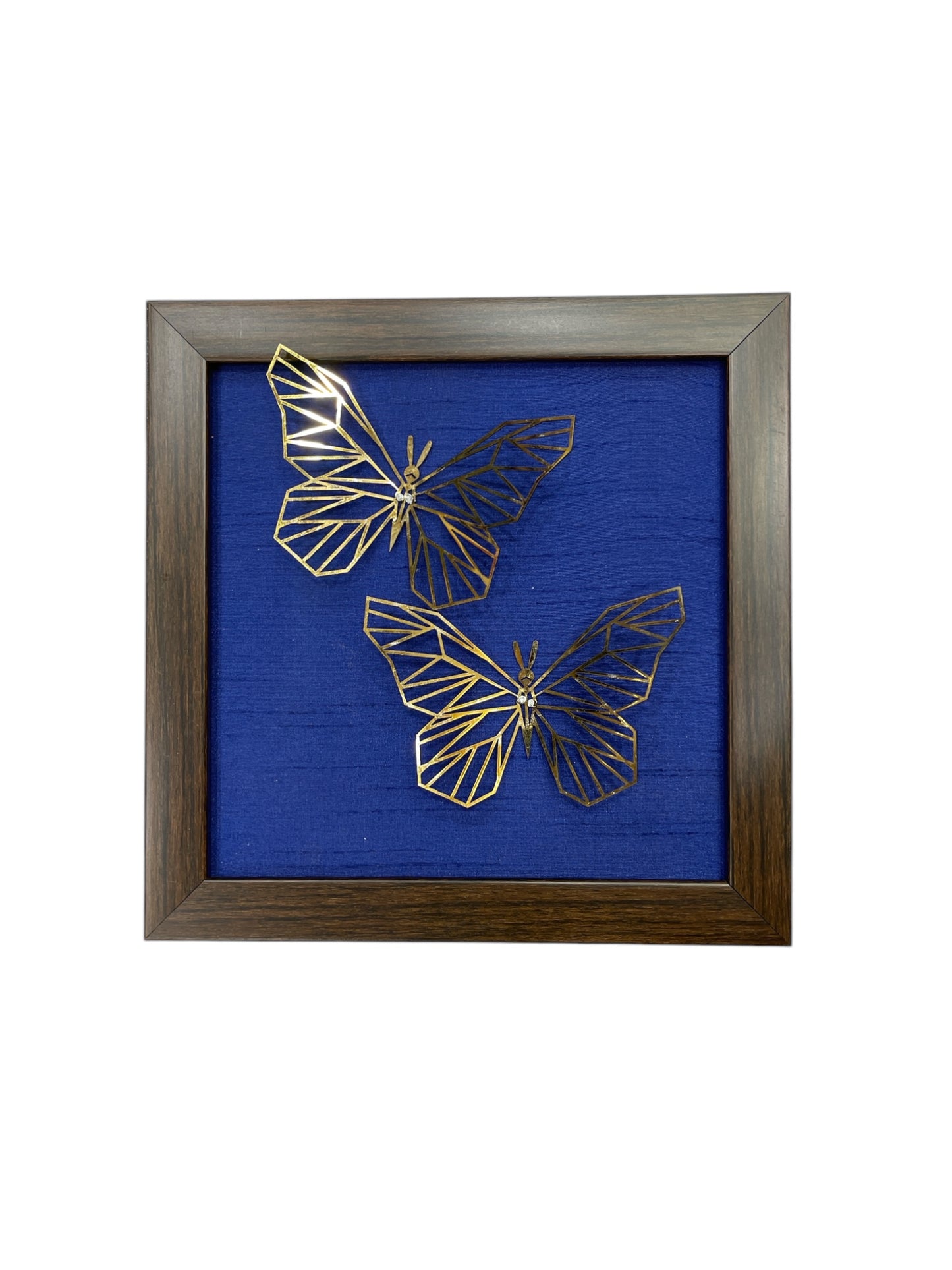 Set of 7 Butterflies with Rainbow Silk Backdrop VIBYOR
