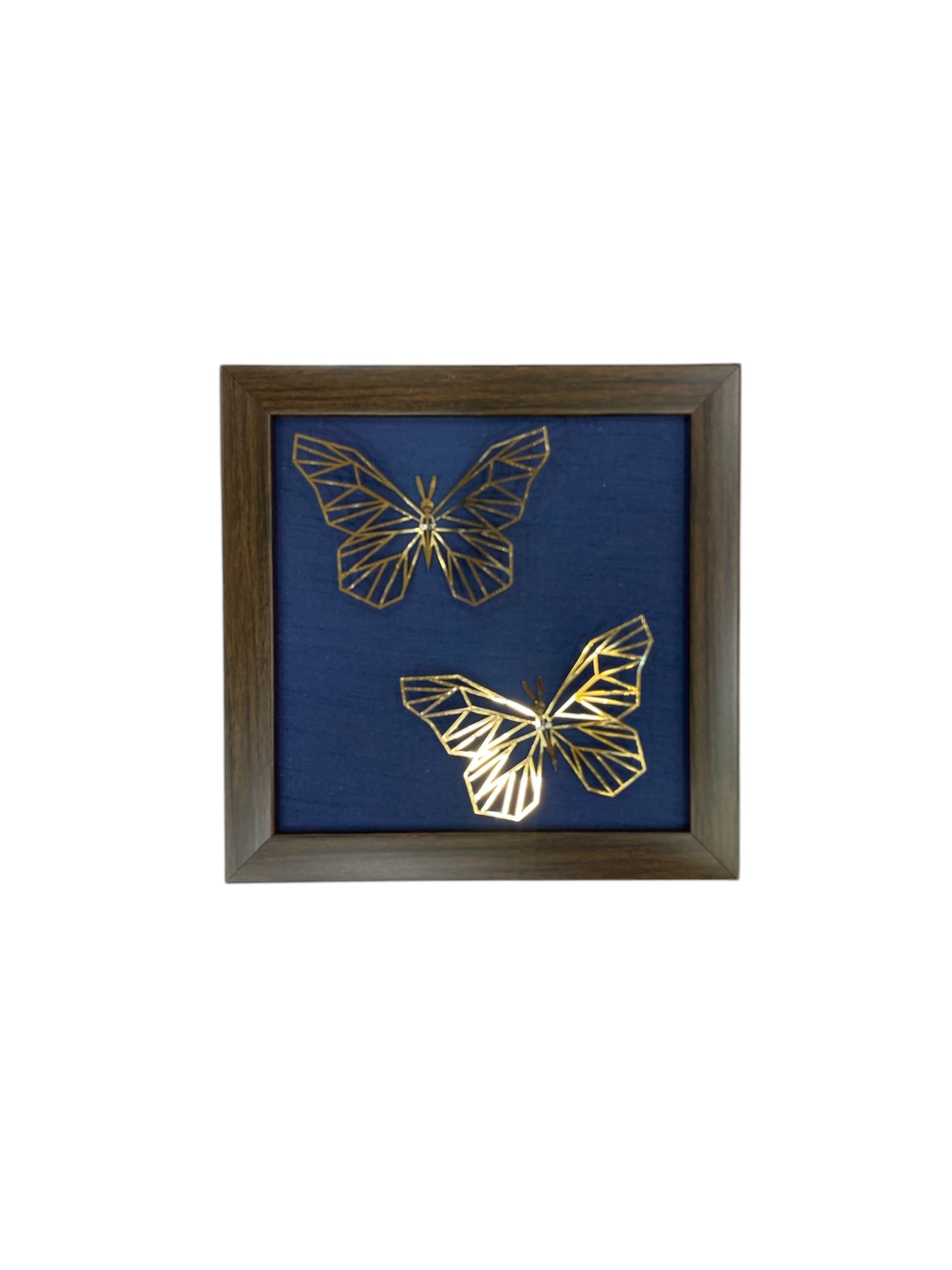 Set of 7 Butterflies with Rainbow Silk Backdrop VIBYOR