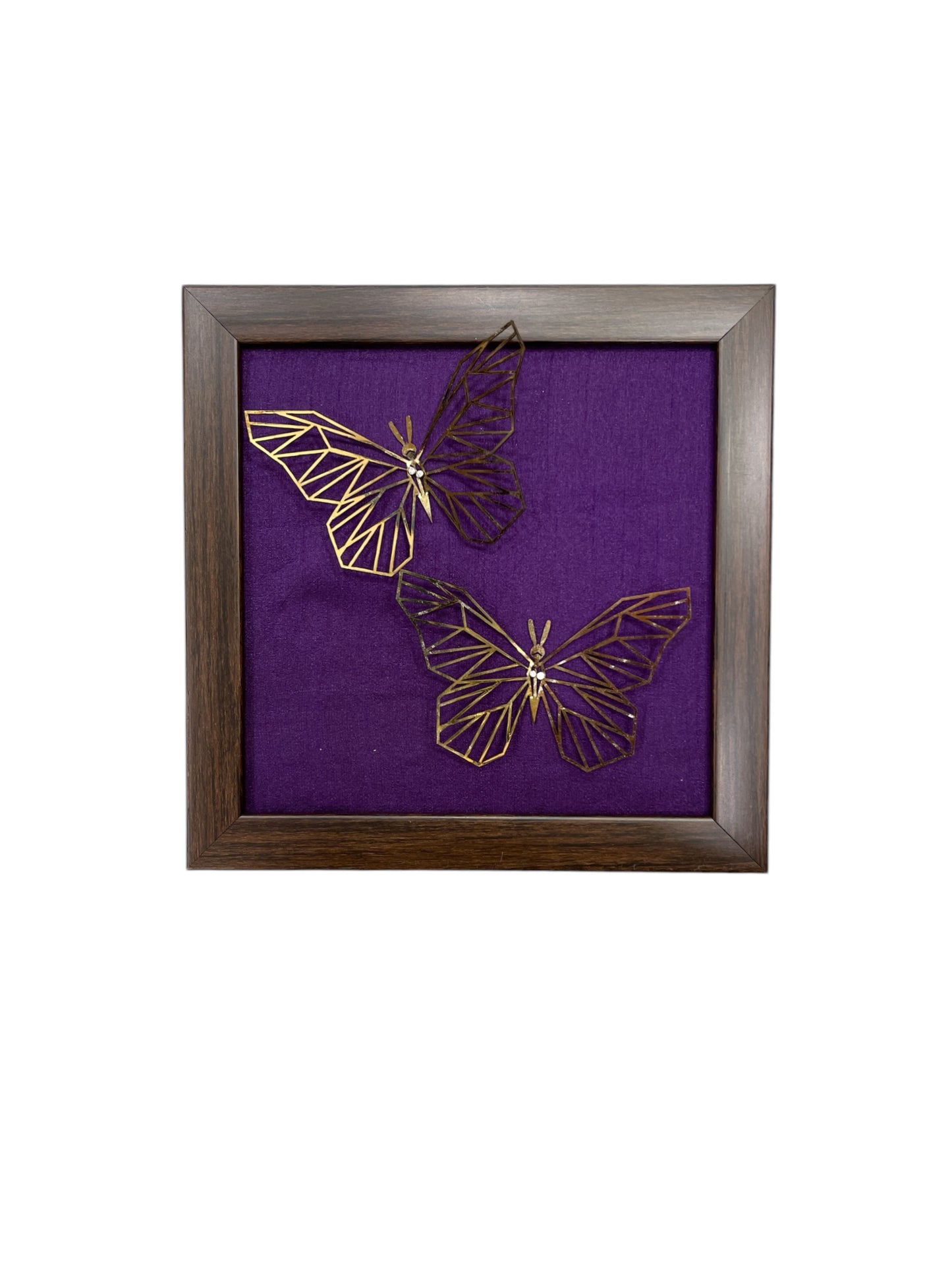Set of 7 Butterflies with Rainbow Silk Backdrop VIBYOR