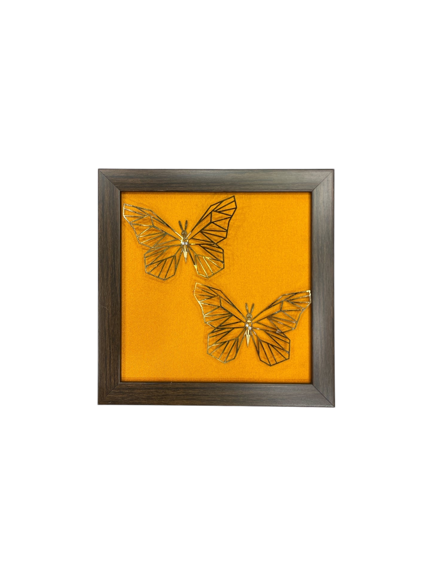 Set of 7 Butterflies with Rainbow Silk Backdrop VIBYOR