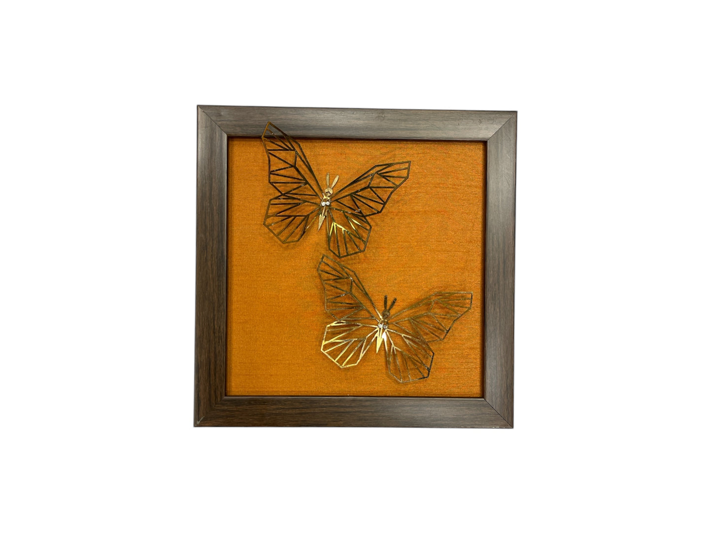 Set of 7 Butterflies with Rainbow Silk Backdrop VIBYOR