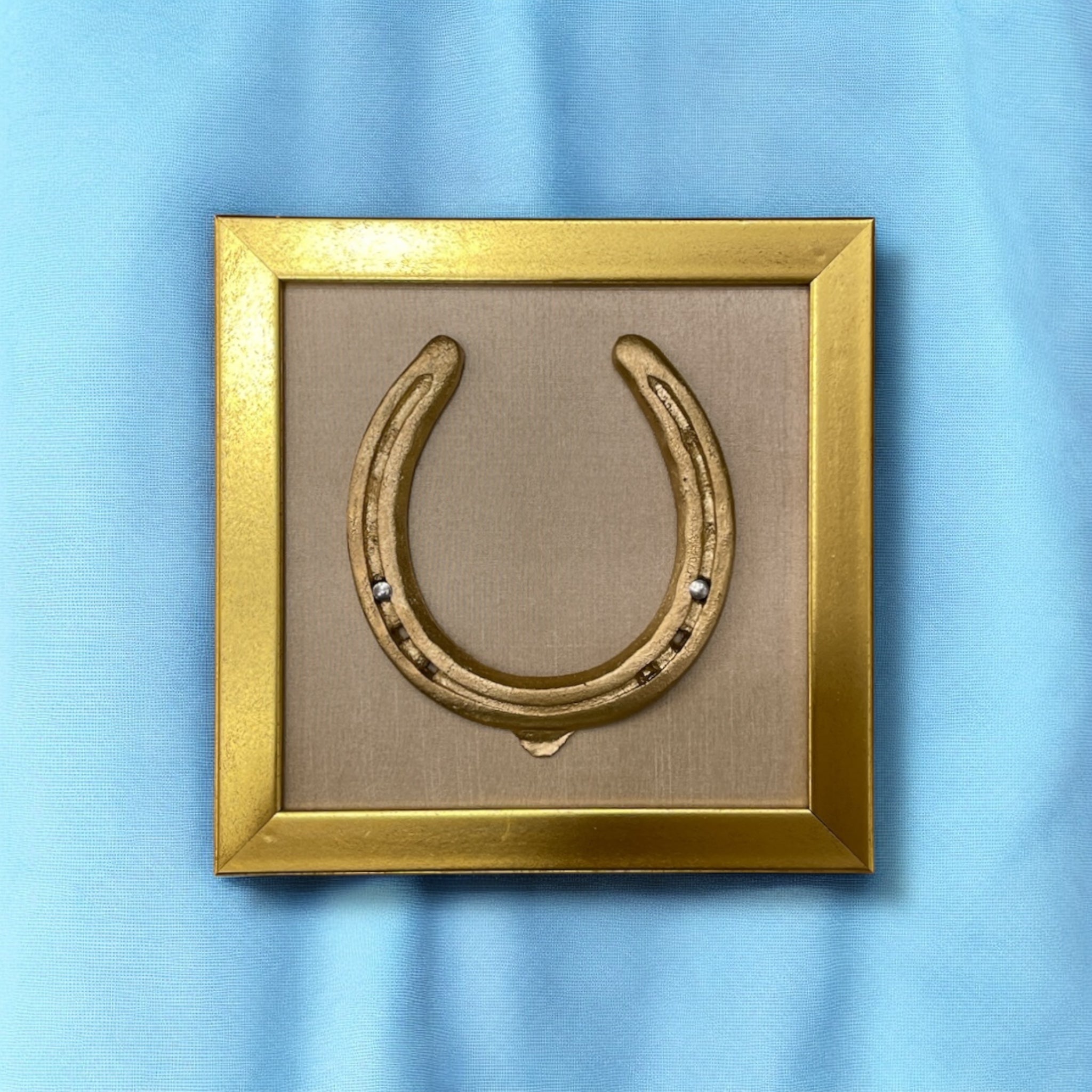 Good luck brass horse shoe with beige silk background