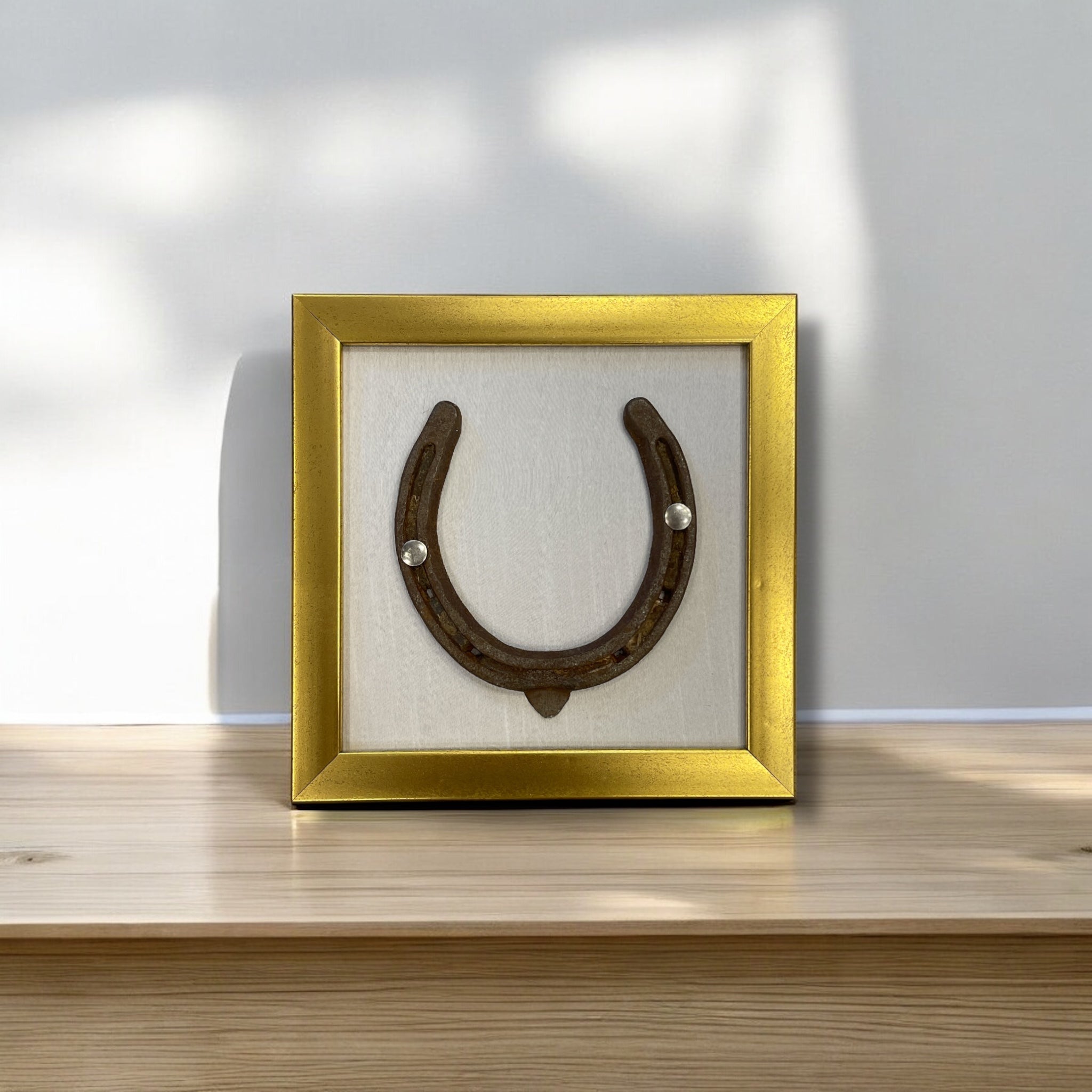 Good luck Antique horse shoe with white silk background