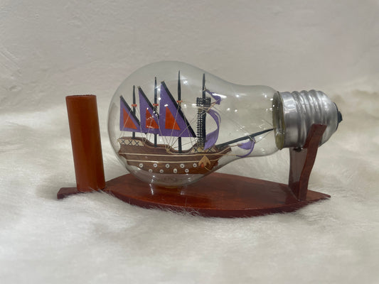 Ship inside the bulb