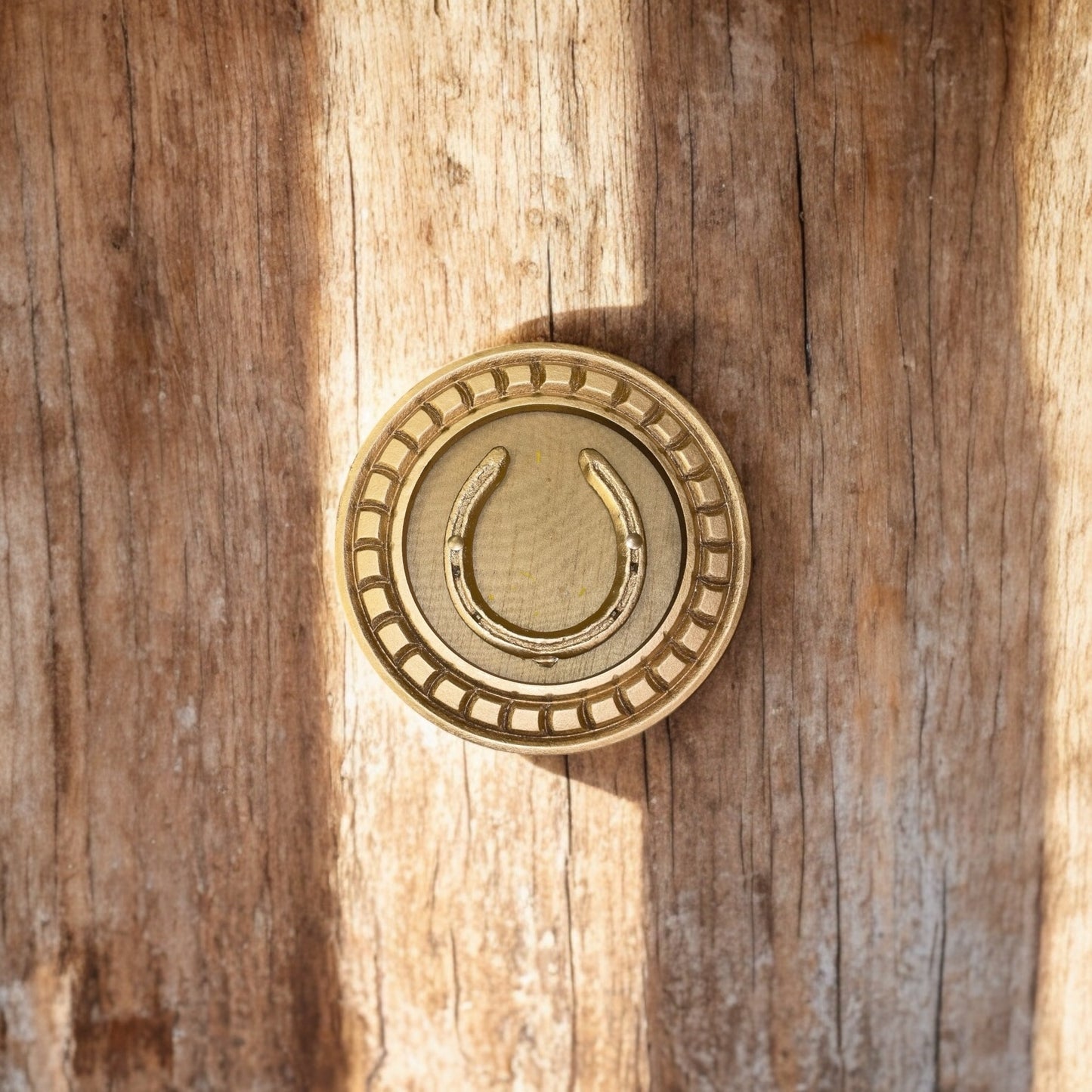 Good Luck Horse Shoe Natural with beige silk backdrop carved circular Golden frame