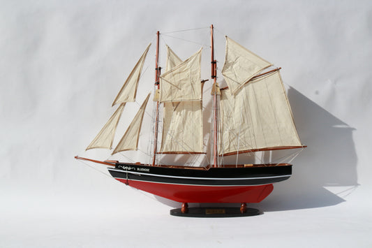Scale Model of Historical ship Bluenose Ship