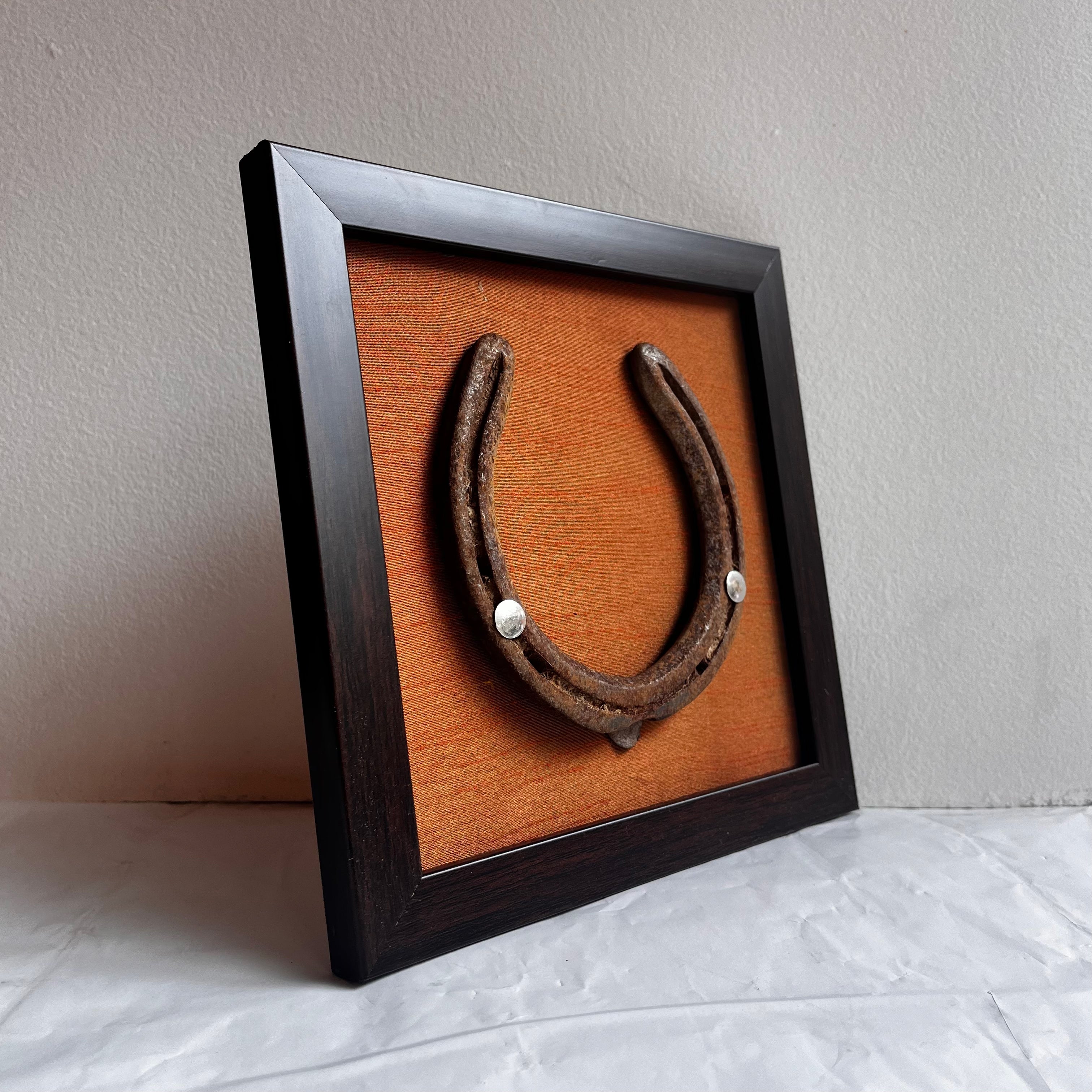 Good Luck Natural Horse Shoe with Orange silk background in Brown Frame