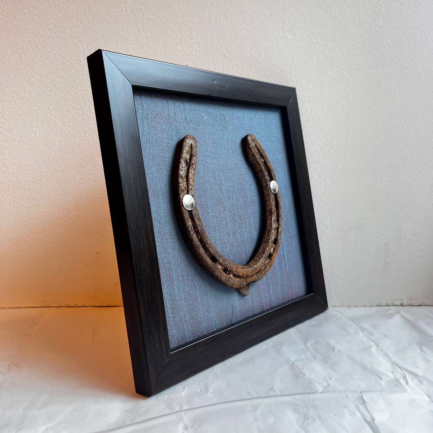 Good Luck Horse Shoe with Light Blue silk background