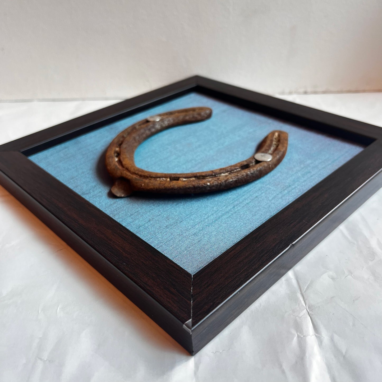 Good Luck Horse Shoe with Light Blue silk background