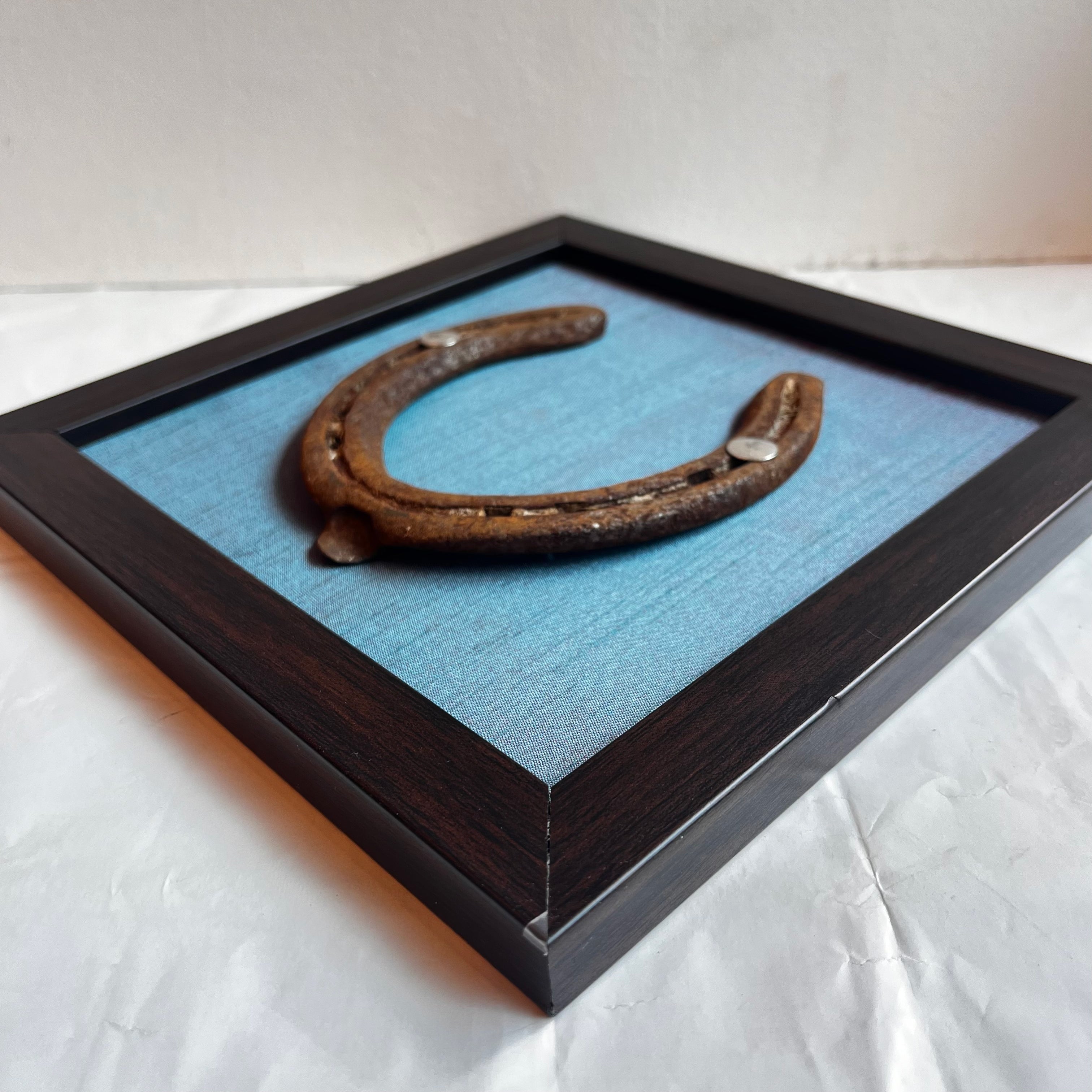 Good Luck Horse Shoe with 2 tone Blue silk background