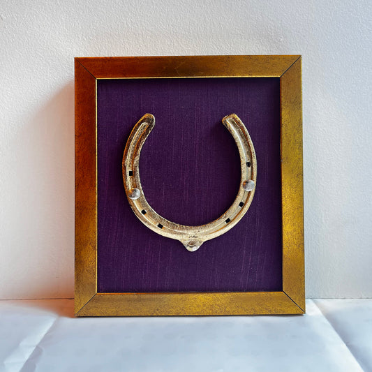 Good Luck Horse Shoe with Purple silk background