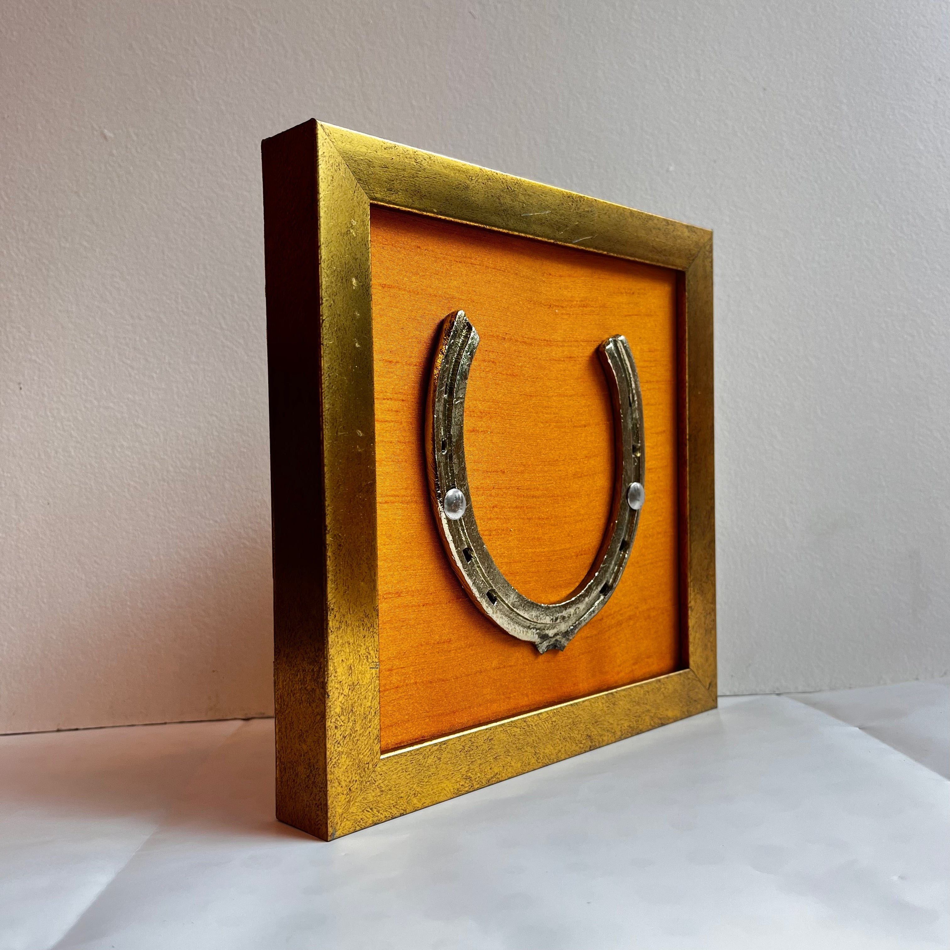 Good Luck Horse Shoe silver with Orange silk background