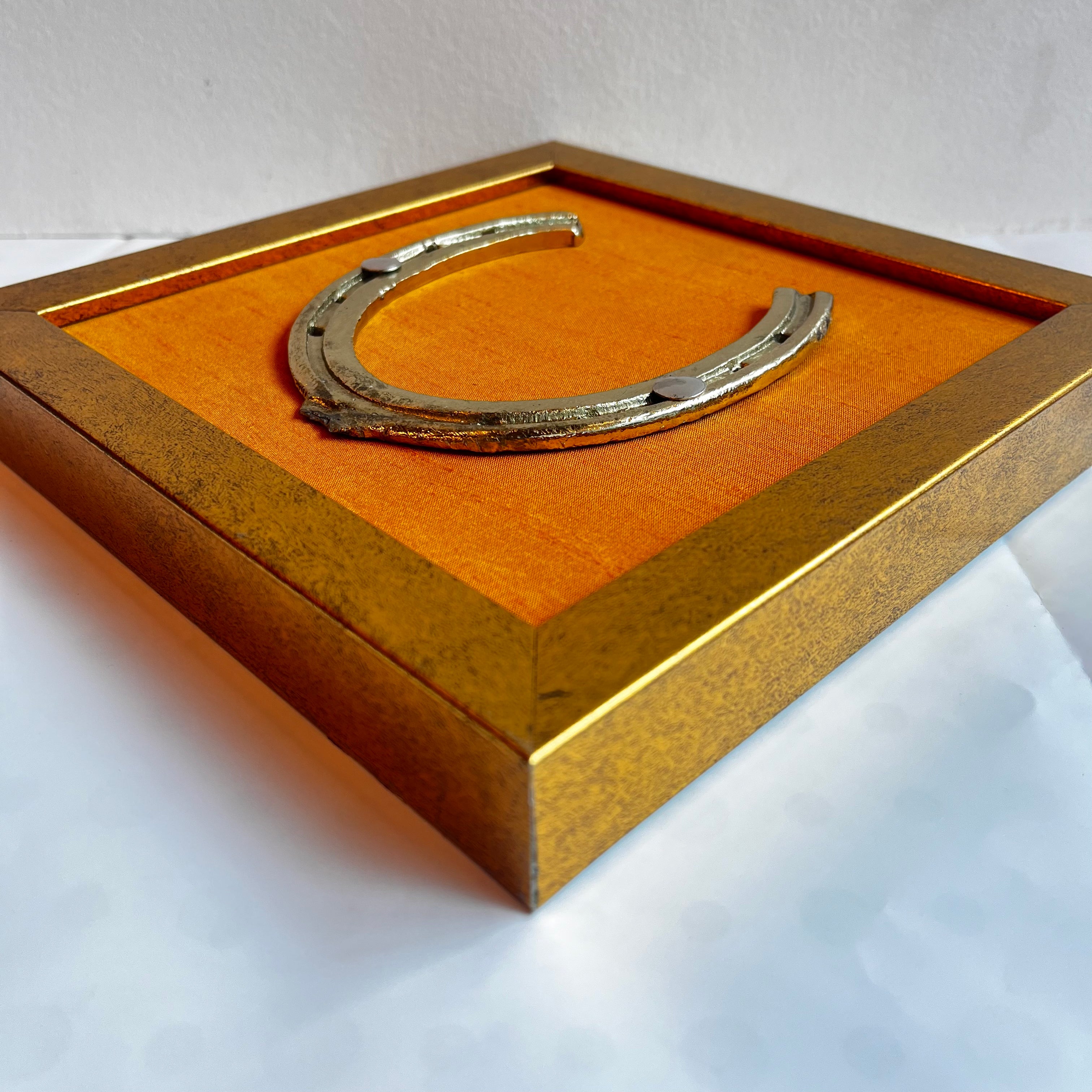 Good Luck Horse Shoe silver with Orange silk background