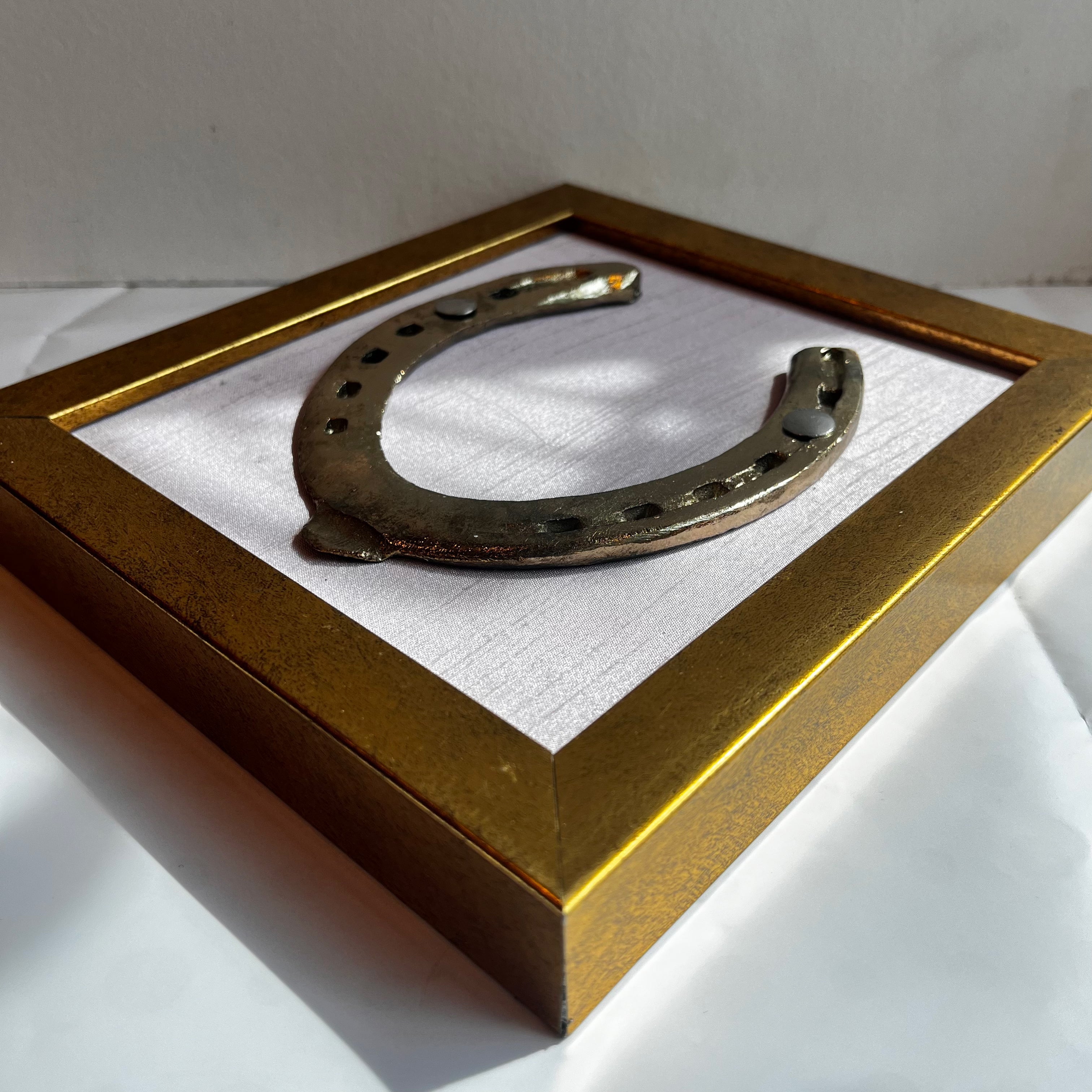 Brass Good Luck Horse Shoe with Lavender silk background in Gold frame