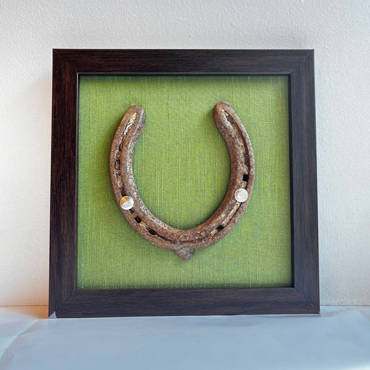 Good Luck Horse Shoe with Light Green silk background