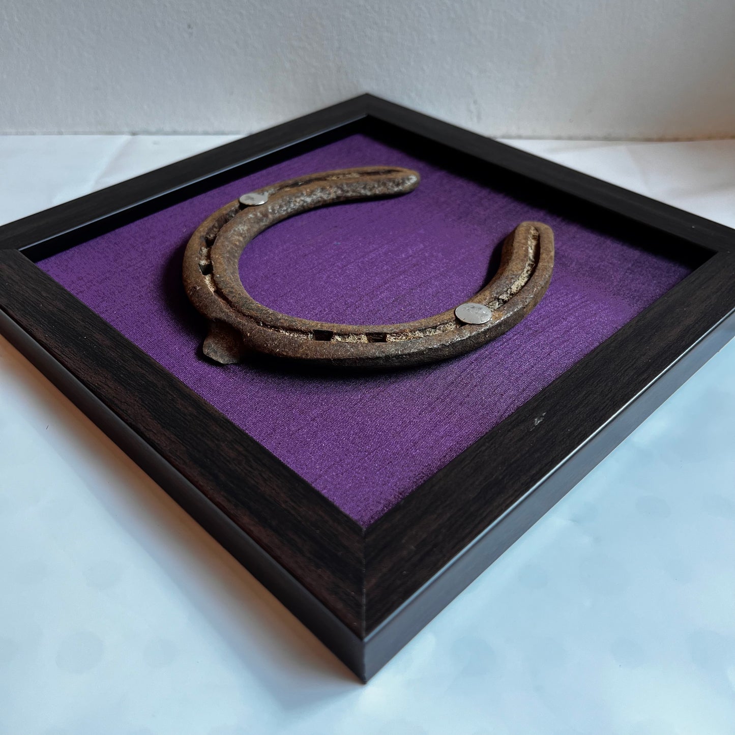 Good Luck Horse Shoe with Purple silk background