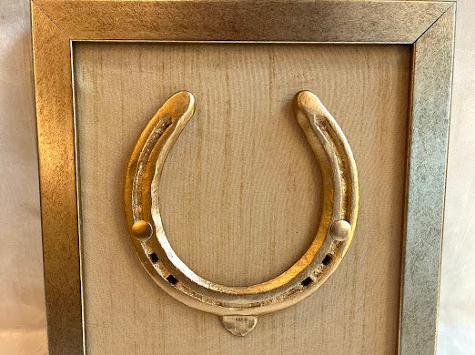 Good luck brass horse shoe with beige silk background