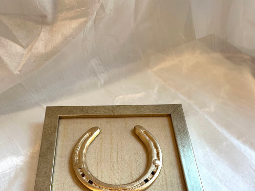 Good luck brass horse shoe with beige silk background