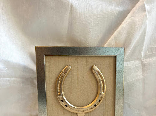 Good luck brass horse shoe with beige silk background