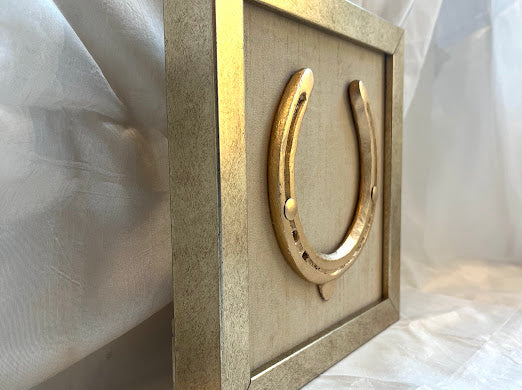 Good luck brass horse shoe with beige silk background