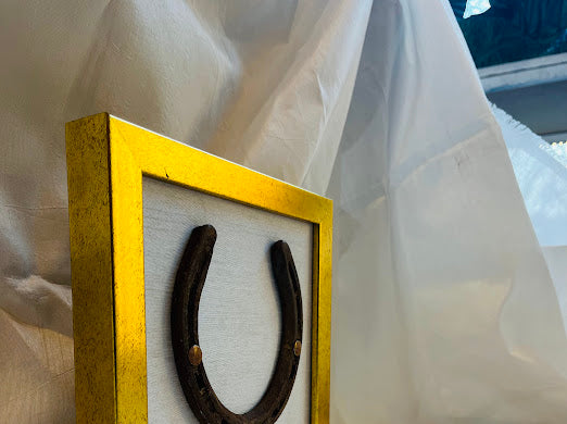 Good luck brass horse shoe with white silk background