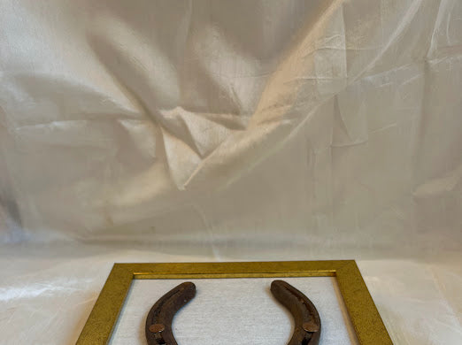 Good luck brass horse shoe with white silk background