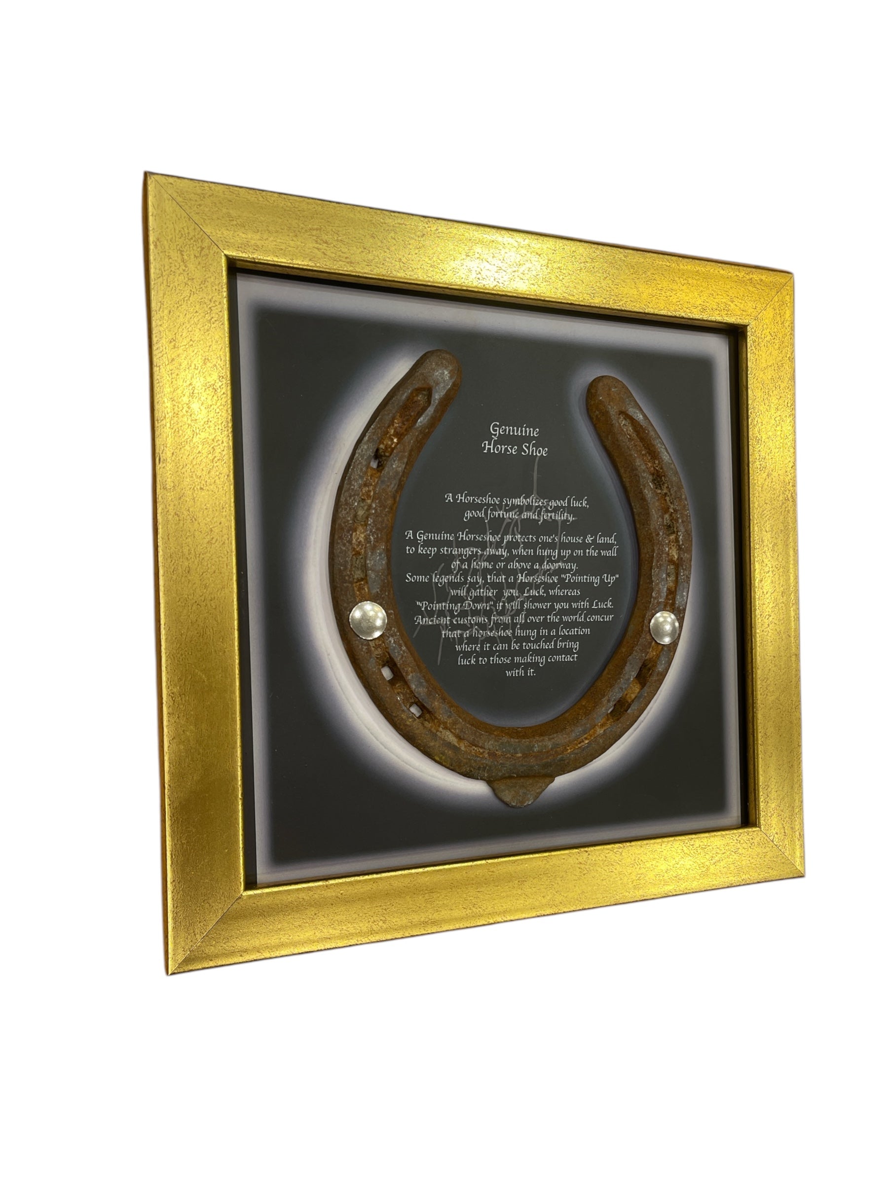Good Luck Antique Horse shoe with Written Backdrop in Gold frame