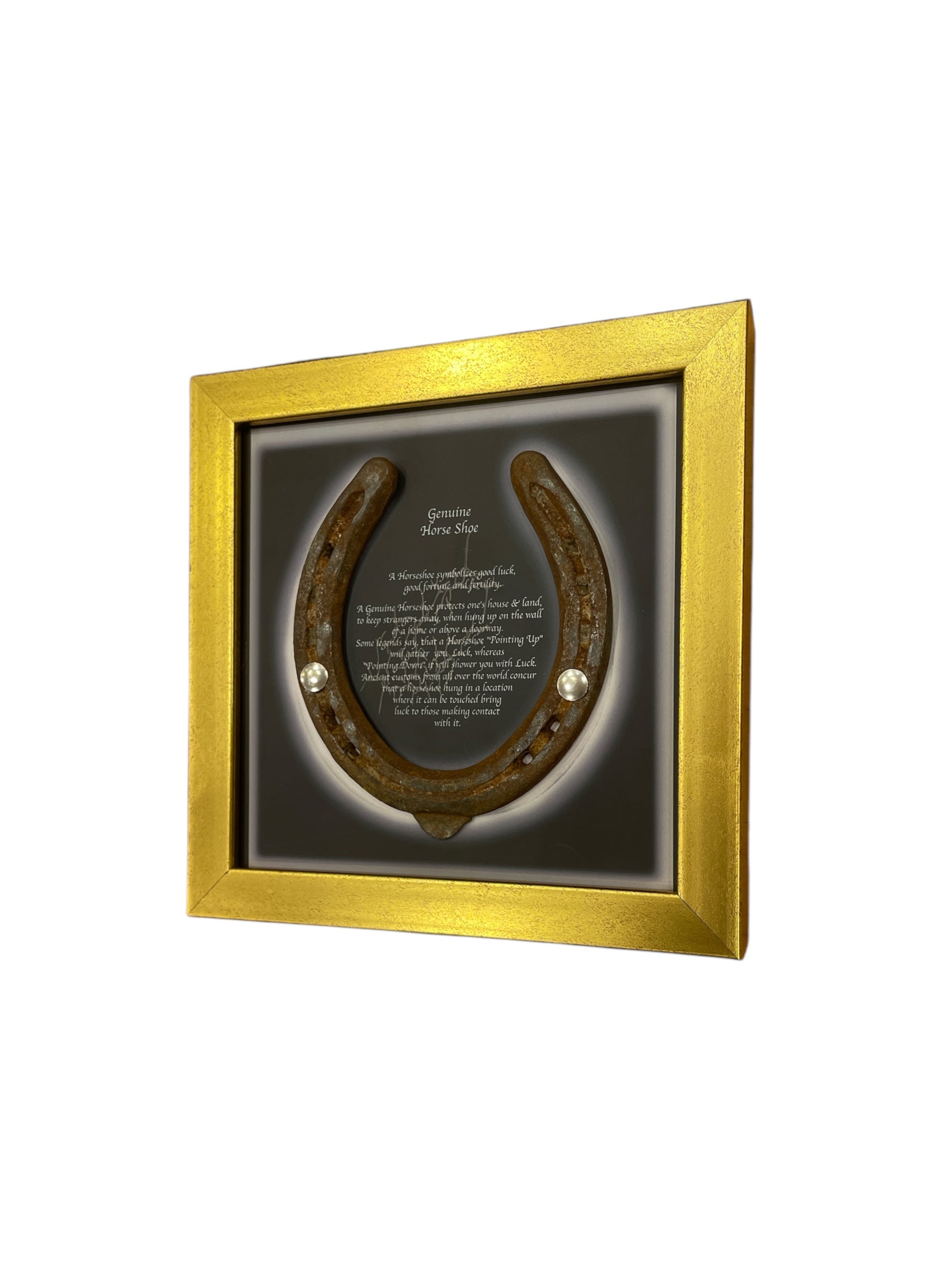 Good Luck Antique Horse shoe with Written Backdrop in Gold frame