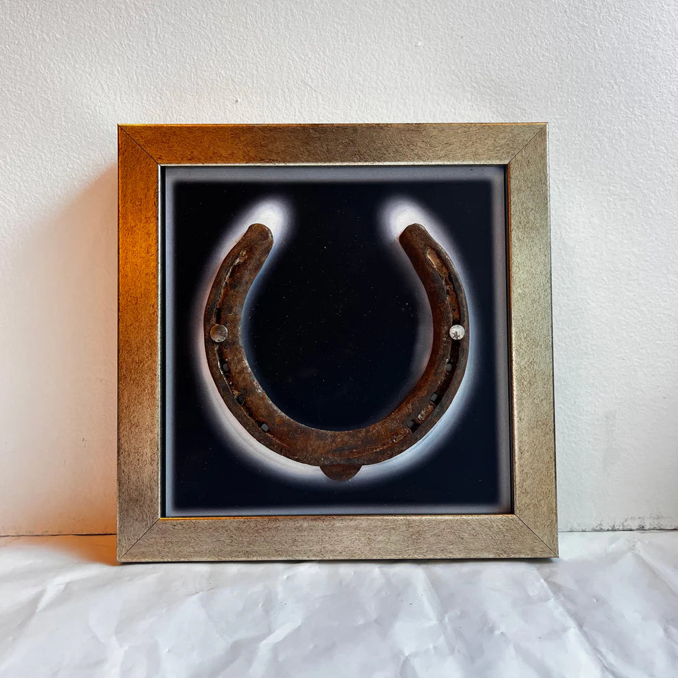 Good Luck Brass Horse Shoe with wine red silk background