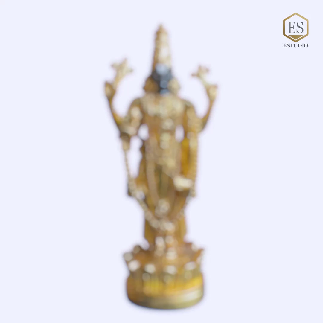 Load video: Gold Plated Deity Tirupati